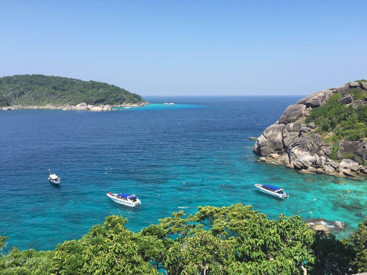 连年亏损熬不住了，深圳龙岗老牌港资玩具厂达琦华声（深圳）宣布解散
